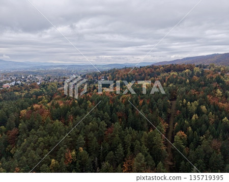 autumncolored woodland at urban boundary highlighting city and natural landscape interplay autumncolored woodland at urban boundary highlighting city and natural landscape interplay 135719395