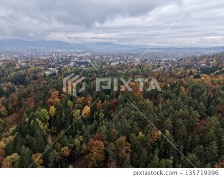 autumnal woodland fringe with distant metropolitan skyline and colorful foliage beneath brooding sky autumnal woodland fringe with distant metropolitan skyline and colorful foliage beneath brooding sky 135719396
