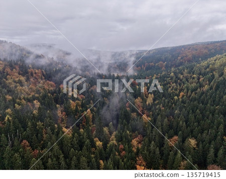 aerial footage captures misty valley adorned with vivid autumn leaves and distant mountain ridges 135719415