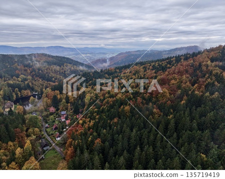 high altitude shot capturing lush forest canyon adorned with fall colors and surrounding mist high altitude shot capturing lush forest canyon adorned with fall colors and surrounding mist 135719419