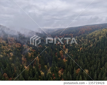 hazy valley shrouded in autumn mist and fog, enigmatic scene with foggy slopes and muted colors hazy valley shrouded in autumn mist and fog, enigmatic scene with foggy slopes and muted colors 135719428