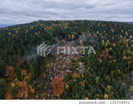 spectacular fall scenery showcasing colorful foliage on steep mountain ledge with rocky surface spectacular fall scenery showcasing colorful foliage on steep mountain ledge with rocky surface 135719431