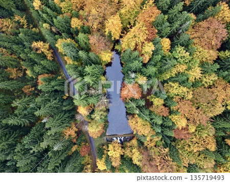 river slicing through densely foliaged forest, colorful canopy with reflective water path landscape 135719493