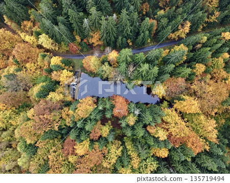 photographic portrayal of autumn treetops reflecting in serene lake with striking symmetry photographic portrayal of autumn treetops reflecting in serene lake with striking symmetry 135719494