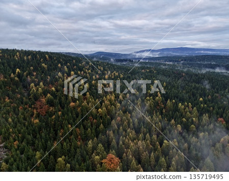 autumn landscape with misty heights, serene forested hills enveloped in autumn fog beneath overcast skies autumn landscape with misty heights, serene forested hills enveloped in autumn fog beneath overcast skies 135719495