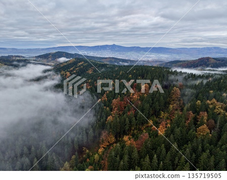 misty mountain scenery, autumn landscape with fog and trees, colorful hillside filled with mist and lush trees misty mountain scenery, autumn landscape with fog and trees, colorful hillside filled with mist and lush trees 135719505