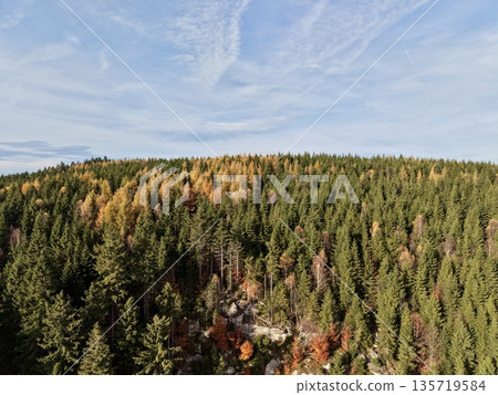 golden deciduous trees amidst evergreen woods, serene hillside with rustic cabins and golden sun patches golden deciduous trees amidst evergreen woods, serene hillside with rustic cabins and golden sun patches 135719584