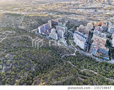aerial overview emphasizing residential area alongside dense pine woodland and natural surroundings aerial overview emphasizing residential area alongside dense pine woodland and natural surroundings 135719647