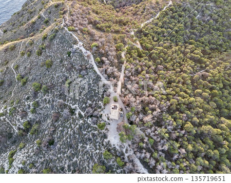 trail intersection point, crossroads set amidst jagged rocks and dense shrubbery for explorers and adventurers trail intersection point, crossroads set amidst jagged rocks and dense shrubbery for explorers and adventurers 135719651