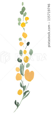 Watercolor yellow wild flower isolated illustration, pastel floral wedding and greeting element 135719746