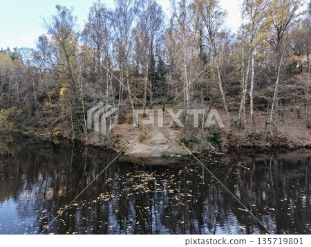 birch trees lining reflective river bank, conservation ranger inspecting roots and moss near shallow shoreline birch trees lining reflective river bank, conservation ranger inspecting roots and moss near shallow shoreline 135719801