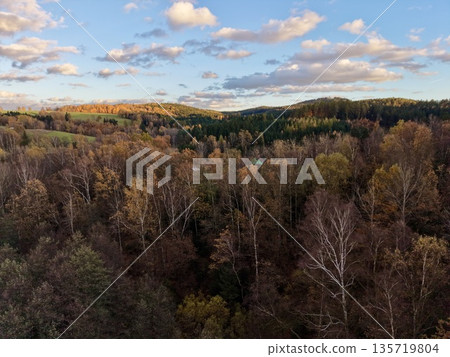 drone surveys leaf coloration, inspector evaluates foliage health through drone imagery of treetops 135719804
