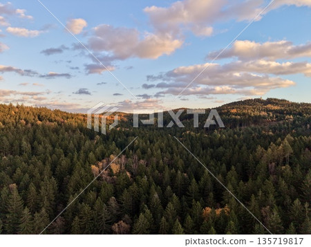 capturing untouched wilderness terrain and canopy structure through aerial drone surveillance capturing untouched wilderness terrain and canopy structure through aerial drone surveillance 135719817