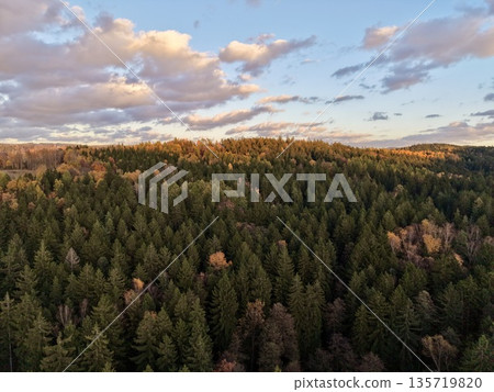 scenic forest sunset journey, dusk over diverse trees with scenic trekking route and eco tour scenic forest sunset journey, dusk over diverse trees with scenic trekking route and eco tour 135719820