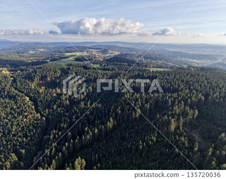 mountain forest panorama, overhead shot capturing expansive forest with rolling terrain and misty sky 135720036
