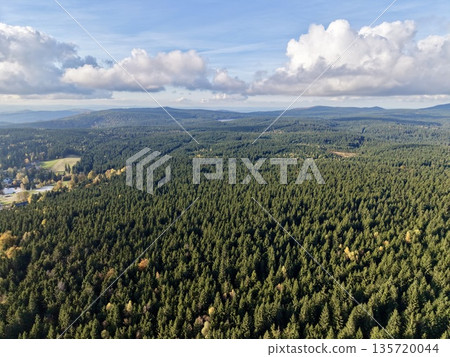 vast forest panorama, panoramic aerial depiction of continuous green treetops and drifting cloud shades 135720044
