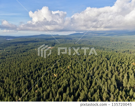 dramatic light plays on forest hills, vivid aerial perspective shows luminous clouds and dark shadows dramatic light plays on forest hills, vivid aerial perspective shows luminous clouds and dark shadows 135720045