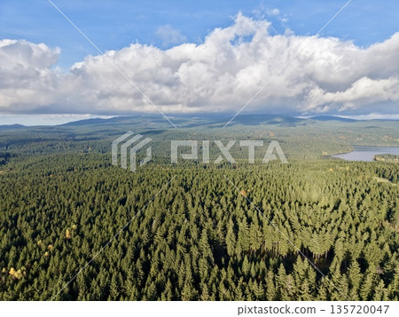 scenic forest overlooking remote lake, expansive woodland scene featuring distant lakes and cloudy skies scenic forest overlooking remote lake, expansive woodland scene featuring distant lakes and cloudy skies 135720047