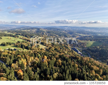 vivid hillside with diverse trees, beautiful terrain featuring winding paths and multicolored trees vivid hillside with diverse trees, beautiful terrain featuring winding paths and multicolored trees 135720050