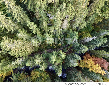 seasonal coloration and habitat mosaic analyzed via remote sensing for ecological research seasonal coloration and habitat mosaic analyzed via remote sensing for ecological research 135720062