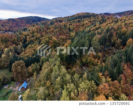 hidden forest retreat, remote autumn woodland hideaway, secluded shelter amidst vibrant fall trees 135720091