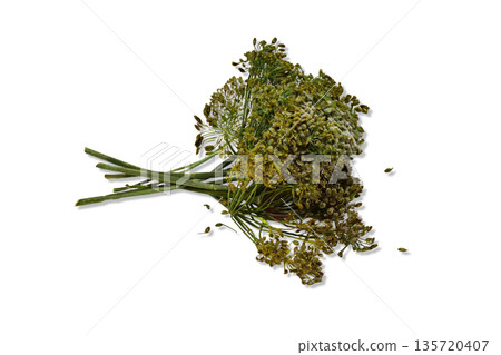 A bunch of dried dill umbrellas A bunch of dried dill umbrellas 135720407