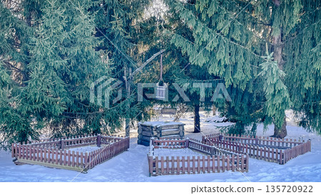 Evergreen spruce branches covered with fresh white snow in a bright sunny forest on a winter day. 135720922