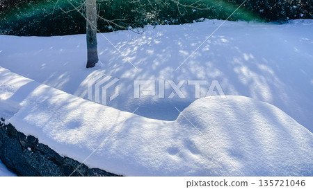 Bright winter sunlight casting long blue shadows from a tree onto deep white snow in a quiet garden. 135721046