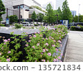 A square with flowers and a fountain in the Minato Mirai area 135721834