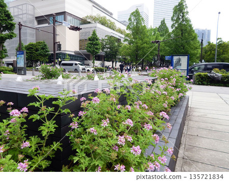 港未來地區的一個廣場，廣場上鮮花盛開，還有一座噴泉。 135721834