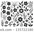 Isolated Botanical Floral Elements Set on White, Black Flower Blossom Leaves Branches Vector Clipart Collection 135722180