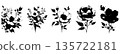 Set of expressive floral silhouettes isolated on white background. Bold hand drawn flower shapes in vintage botanical style. 135722181