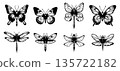 Set of butterflies and dragonflies silhouettes isolated on white background. Vintage hand drawn insect collection. 135722182