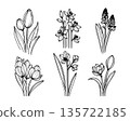 Set of elegant spring flowers line illustration isolated on white background. Vintage botanical floral collection. 135722185