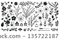 Large set of botanical floral elements and branches isolated on white background. Vintage hand drawn flowers and leaves collection. 135722187