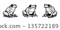 Collection of sitting frog silhouettes in hand drawn outline style. Minimal vintage amphibian vector set. 135722189