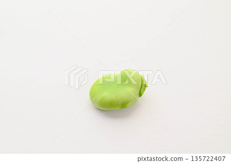 Broad bean seed Broad bean seed 135722407