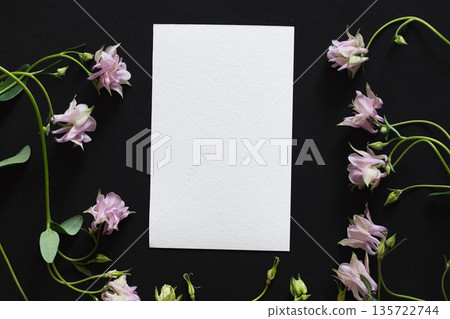 Bright purple and yellow wildflowers arranged on dark background create stunning visual contrast 135722744