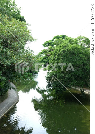 景觀與綠色 135722788