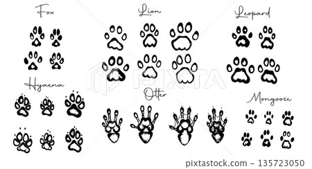 Hand drawn wild animals foot prints 135723050