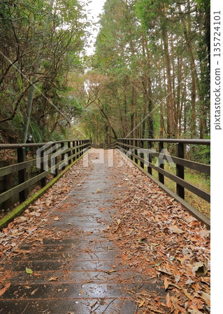 Bridge surrounded by winter forest 135724101