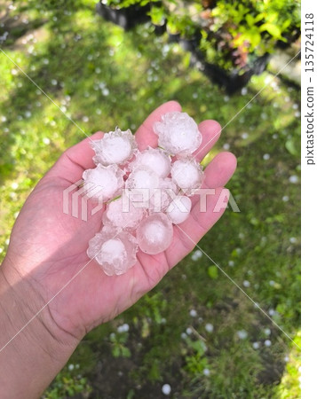 Handful in hand of ice hailstones falling in summer - climate change. 135724118