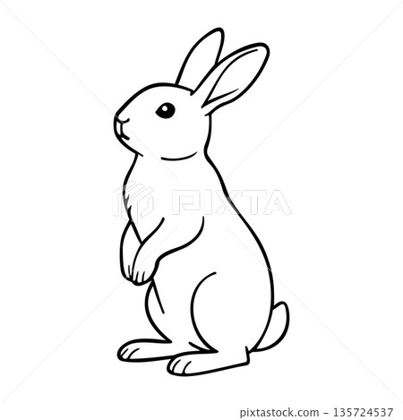 Line Standing Rabbit Illustration Character Vector Logo Template 135724537