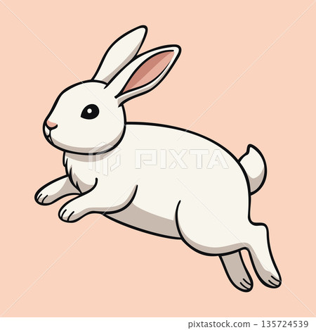 Jumping Rabbit Illustration Character Vector Logo Template 135724539