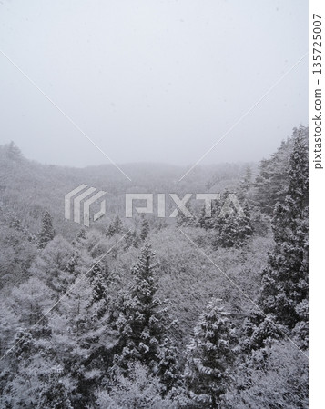 單色雪景,靜謐的冬日景色(留白) 單色雪景,靜謐的冬日景色(留白) 135725007