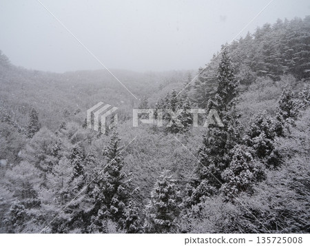 Monochrome snowy landscape, quiet winter scenery (copy space) Monochrome snowy landscape, quiet winter scenery (copy space) 135725008