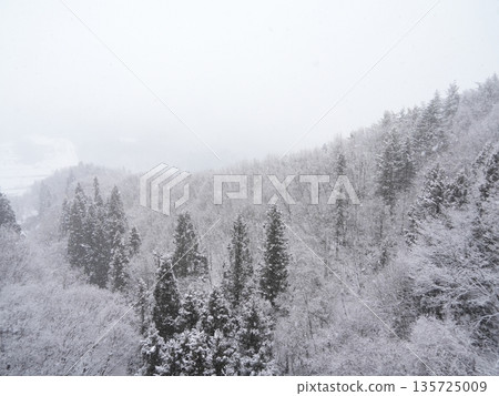 Monochrome snowy landscape, quiet winter scenery (copy space) Monochrome snowy landscape, quiet winter scenery (copy space) 135725009