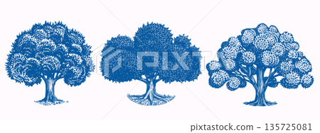 Collection of three Old oak tree drawings. Black and white hand drawn engraving as a symbol of home Collection of three Old oak tree drawings. Black and white hand drawn engraving as a symbol of home 135725081