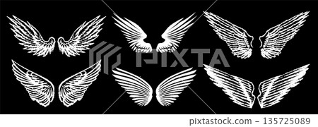 Grunge angel wings. street art style drawing. brush drawn elements. Can be used as bird, devil or 135725089