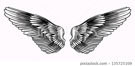Beautiful detailed angel wings drawing for your collages. Biblical and religious context elements Beautiful detailed angel wings drawing for your collages. Biblical and religious context elements 135725109